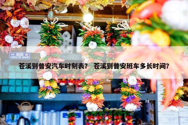 苍溪到普安汽车时刻表？ 苍溪到普安班车多长时间？
