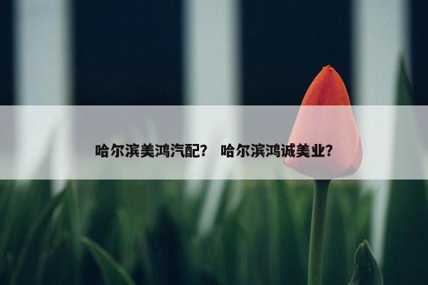 哈尔滨美鸿汽配？ 哈尔滨鸿诚美业？