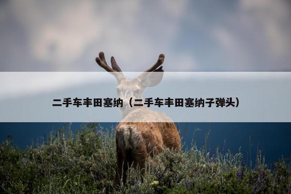 二手车丰田塞纳（二手车丰田塞纳子弹头）