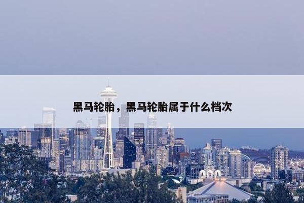 黑马轮胎，黑马轮胎属于什么档次