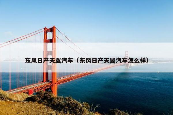 东风日产天翼汽车（东风日产天翼汽车怎么样）
