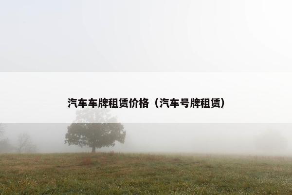 汽车车牌租赁价格（汽车号牌租赁）