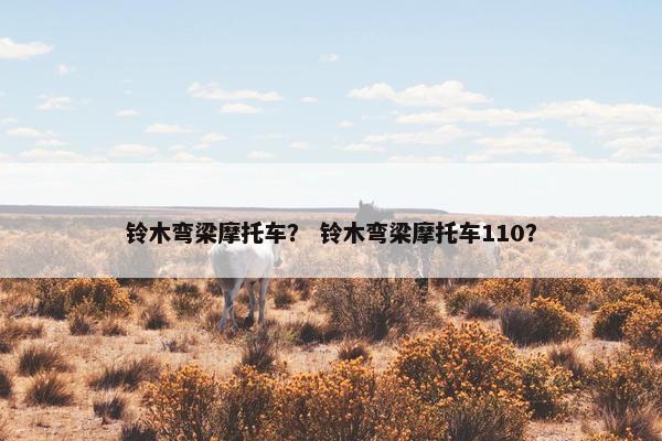 铃木弯梁摩托车？ 铃木弯梁摩托车110？