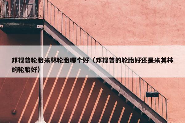 邓禄普轮胎米林轮胎哪个好（邓禄普的轮胎好还是米其林的轮胎好）