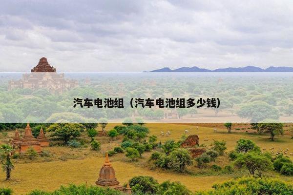 汽车电池组（汽车电池组多少钱）