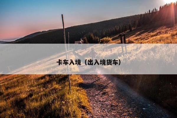 卡车入境（出入境货车）