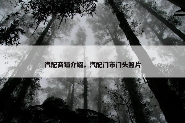 汽配商铺介绍，汽配门市门头照片