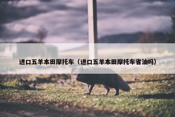 进口五羊本田摩托车（进口五羊本田摩托车省油吗）