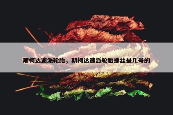 斯柯达速派轮胎，斯柯达速派轮胎螺丝是几号的