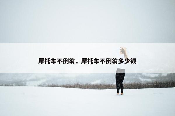 摩托车不倒翁，摩托车不倒翁多少钱