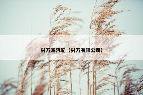 兴万鸿汽配（兴万有限公司）