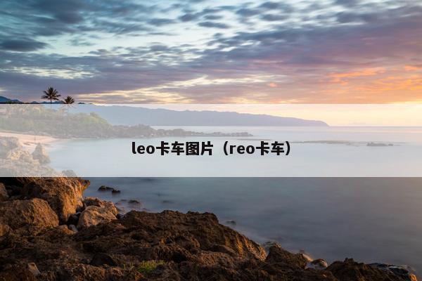 leo卡车图片（reo卡车）