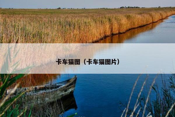 卡车猫图（卡车猫图片）