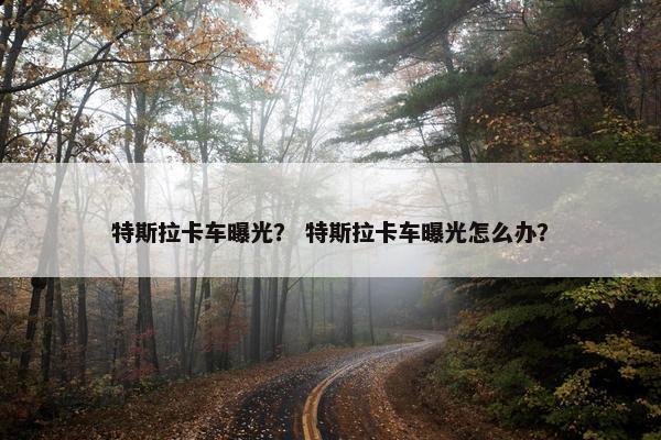 特斯拉卡车曝光？ 特斯拉卡车曝光怎么办？