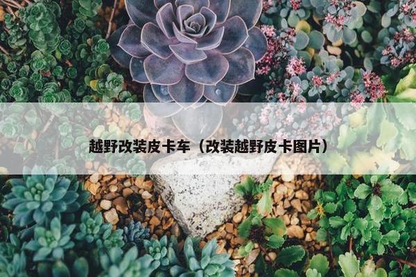 越野改装皮卡车（改装越野皮卡图片）