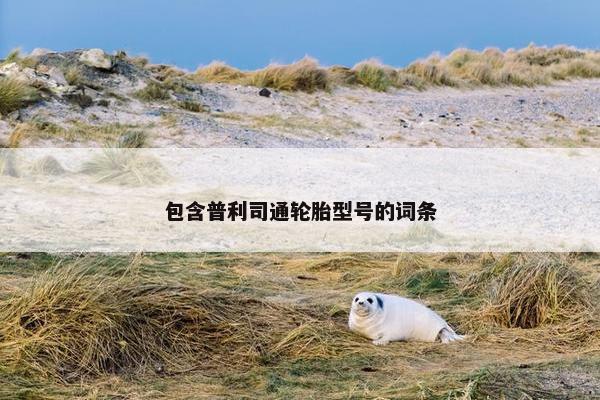 包含普利司通轮胎型号的词条