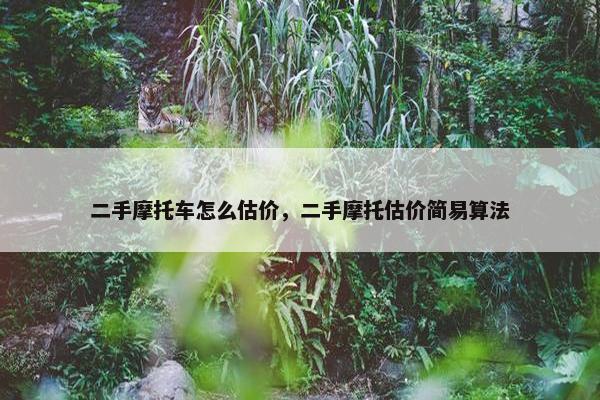 二手摩托车怎么估价，二手摩托估价简易算法