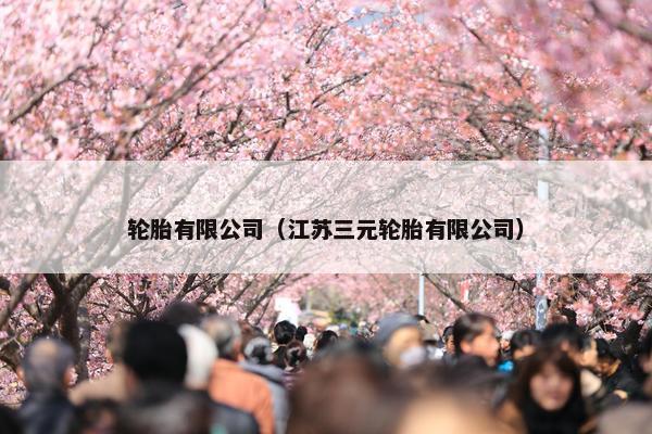 轮胎有限公司（江苏三元轮胎有限公司）