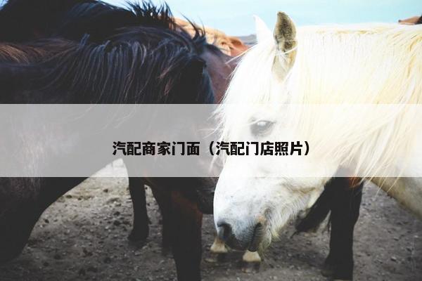 汽配商家门面（汽配门店照片）