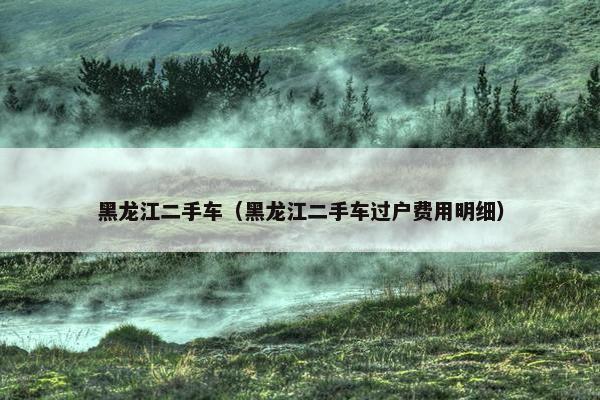 黑龙江二手车（黑龙江二手车过户费用明细）