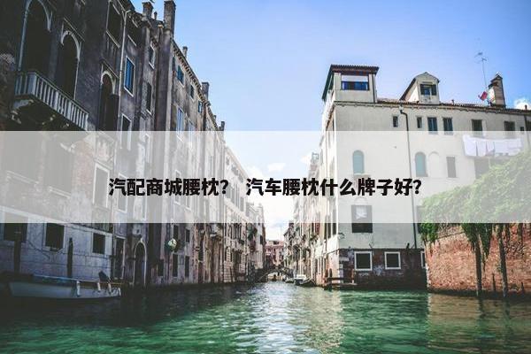 汽配商城腰枕？ 汽车腰枕什么牌子好？