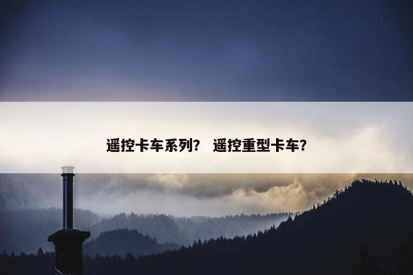 遥控卡车系列？ 遥控重型卡车？