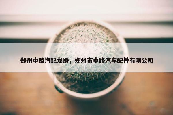 郑州中路汽配龙蟠，郑州市中路汽车配件有限公司