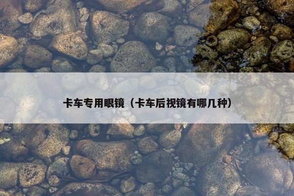 卡车专用眼镜（卡车后视镜有哪几种）