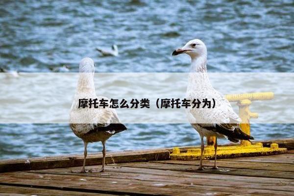 摩托车怎么分类（摩托车分为）