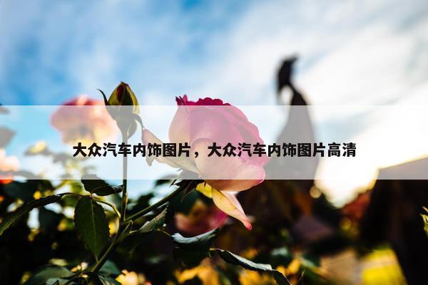 大众汽车内饰图片，大众汽车内饰图片高清