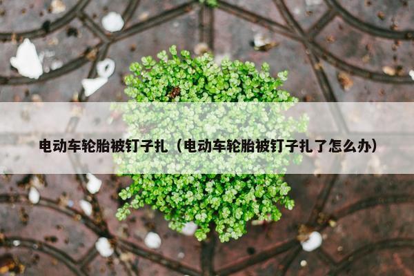 电动车轮胎被钉子扎（电动车轮胎被钉子扎了怎么办）