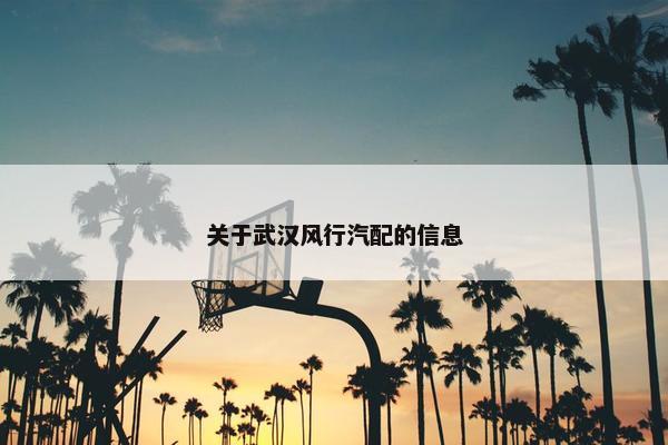 关于武汉风行汽配的信息