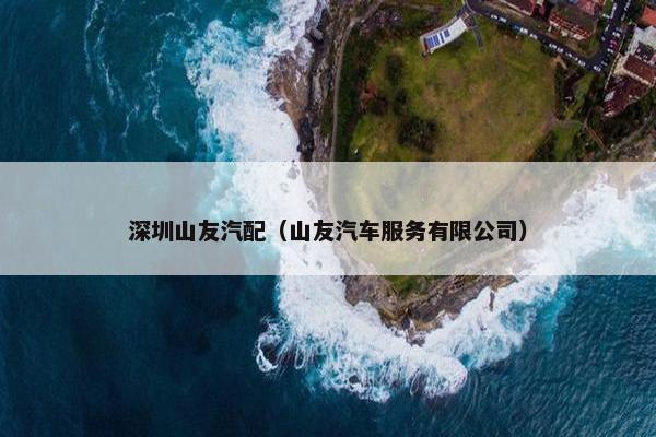 深圳山友汽配（山友汽车服务有限公司）
