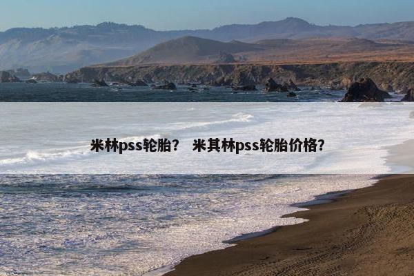 米林pss轮胎？ 米其林pss轮胎价格？