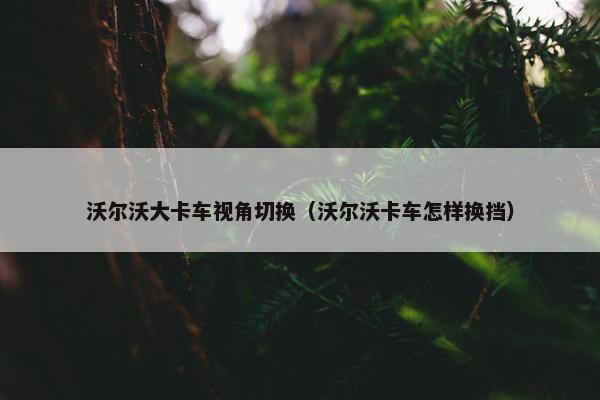 沃尔沃大卡车视角切换（沃尔沃卡车怎样换挡）