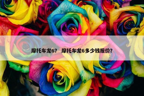 摩托车龙6？ 摩托车龙6多少钱报价？