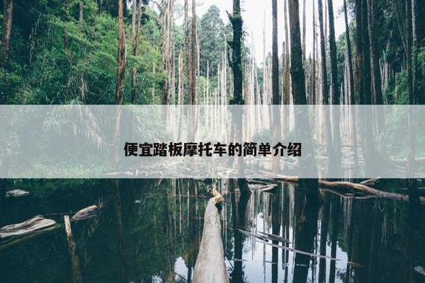 便宜踏板摩托车的简单介绍