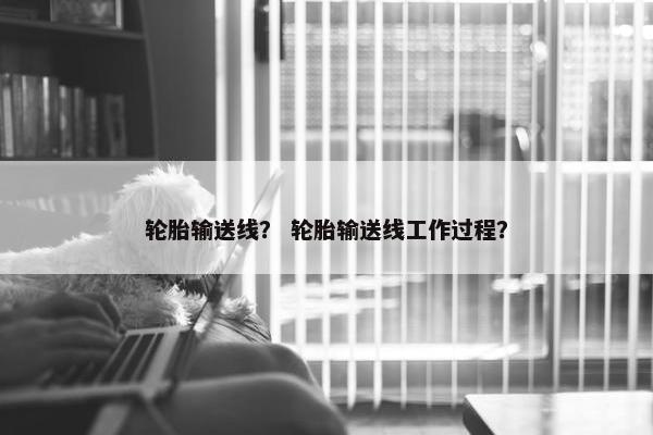 轮胎输送线？ 轮胎输送线工作过程？