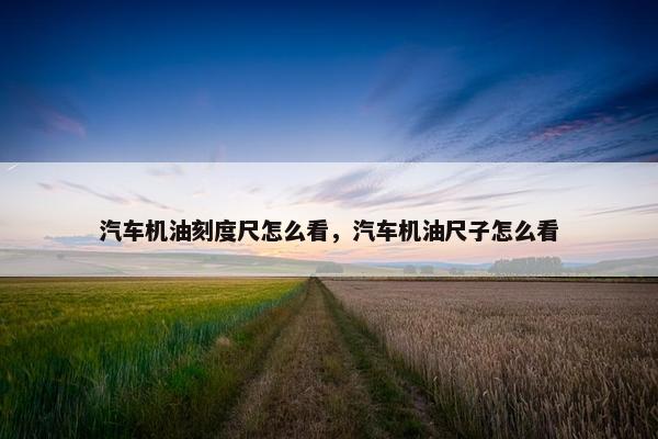 汽车机油刻度尺怎么看，汽车机油尺子怎么看