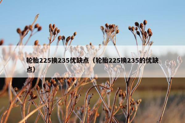 轮胎225换235优缺点（轮胎225换235的优缺点）