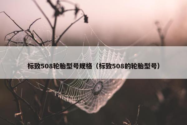 标致508轮胎型号规格（标致508的轮胎型号）