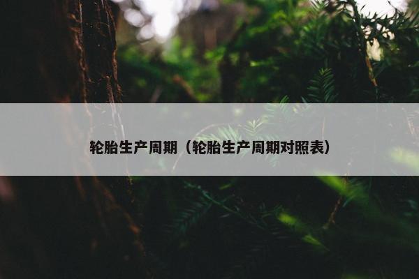 轮胎生产周期（轮胎生产周期对照表）