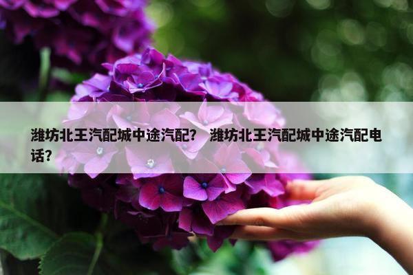 潍坊北王汽配城中途汽配？ 潍坊北王汽配城中途汽配电话？