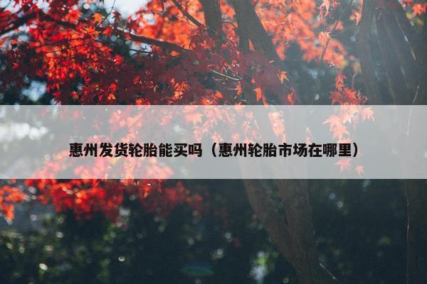 惠州发货轮胎能买吗（惠州轮胎市场在哪里）