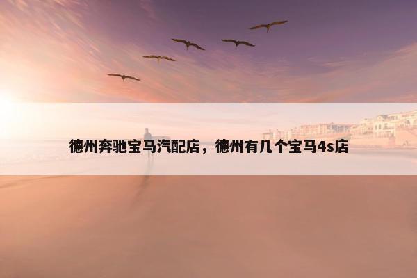 德州奔驰宝马汽配店，德州有几个宝马4s店