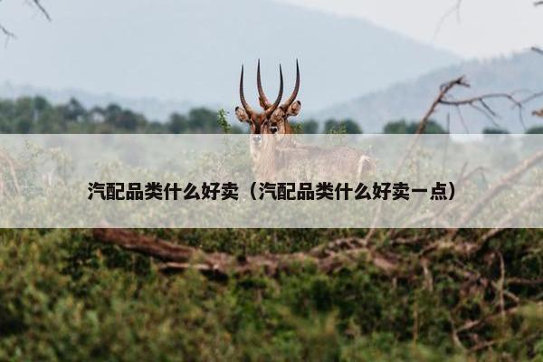 汽配品类什么好卖（汽配品类什么好卖一点）