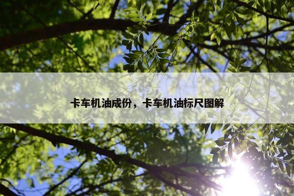 卡车机油成份，卡车机油标尺图解