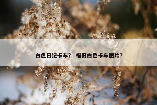 白色日记卡车？ 福田白色卡车图片？