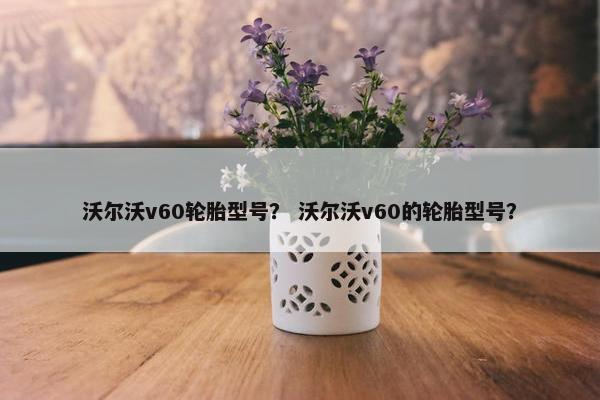 沃尔沃v60轮胎型号？ 沃尔沃v60的轮胎型号？