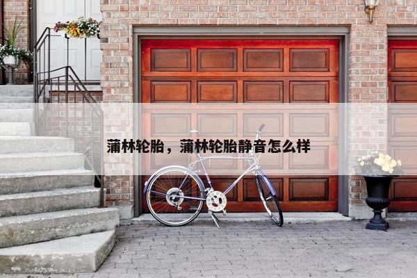 蒲林轮胎，蒲林轮胎静音怎么样